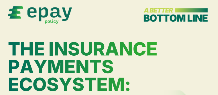 THE INSURANCE PAYMENTS ECOSYSTEM